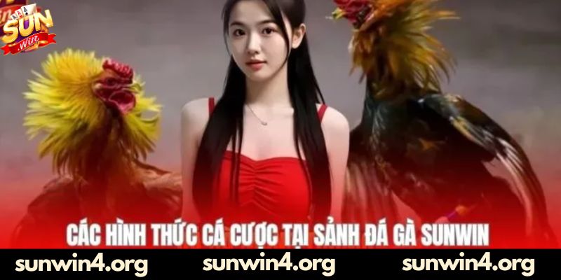 Các hình thức có trong sảnh cược đá gà Sunwin