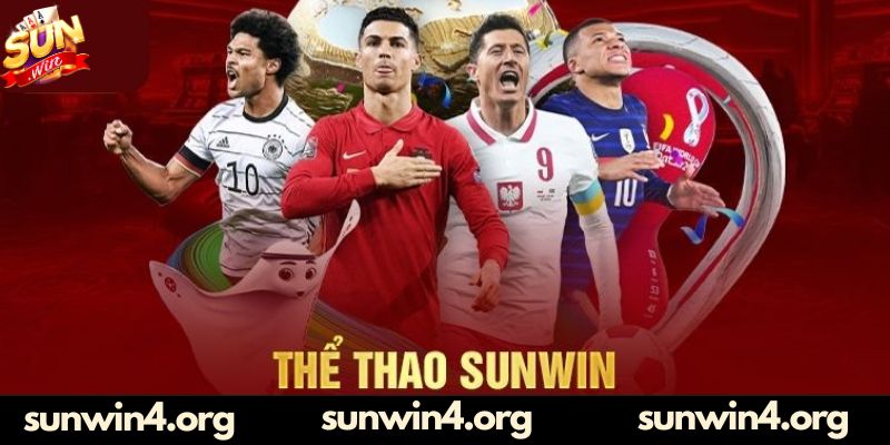 Đôi nét về sảnh thể thao Sunwin